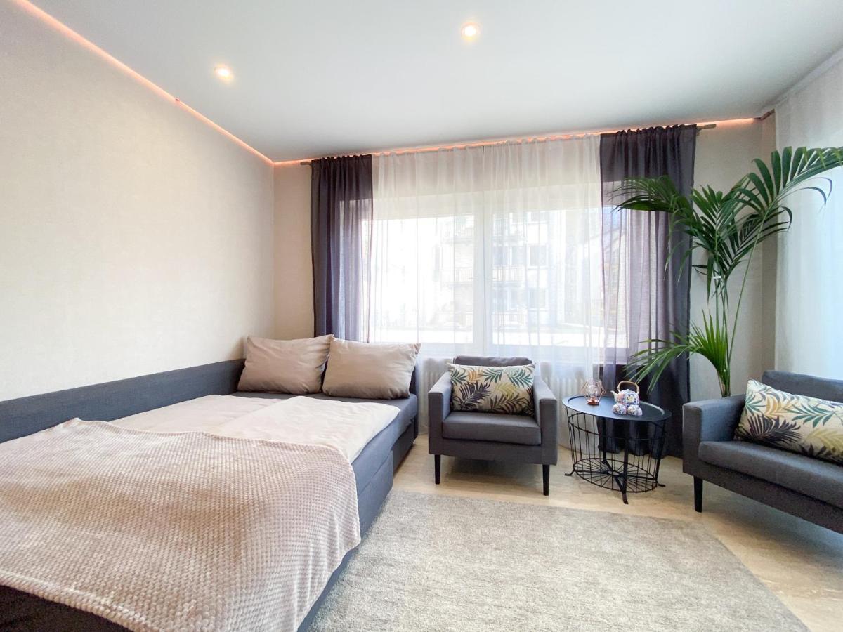 Modernes Apartment In Zentrumsnaehe Mit Eigenem Stellplatz バーデン＝バーデン エクステリア 写真